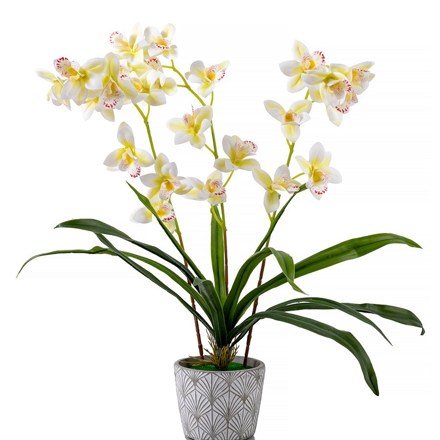 Forever Flowerz Cymbidium Orchid Kit - Pink And White – Craft Buddy