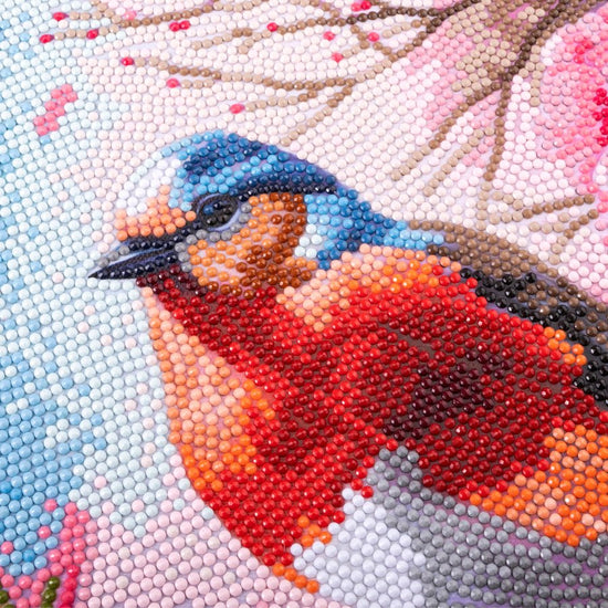 “Bird” Crystal Art Kit 30x30cm Close Up