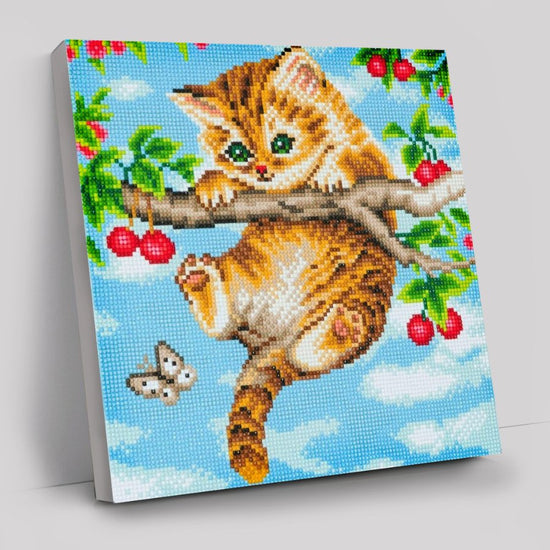 Cherry Kitten Art Kit 30x30cm
