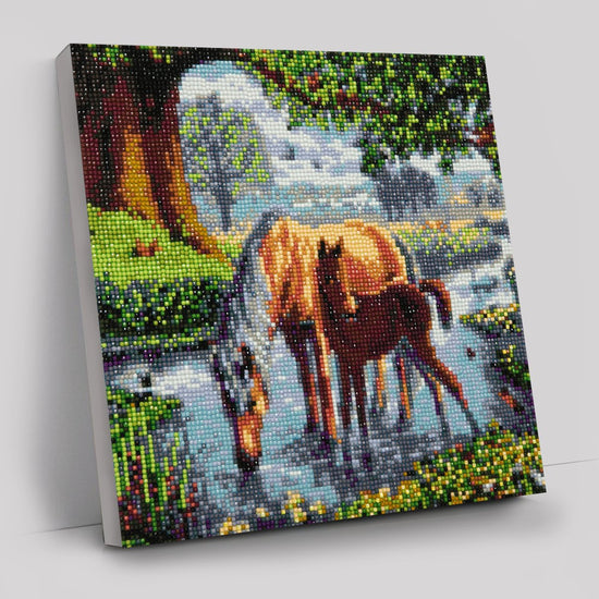 Fell ponies Art Kit 30x30cm
