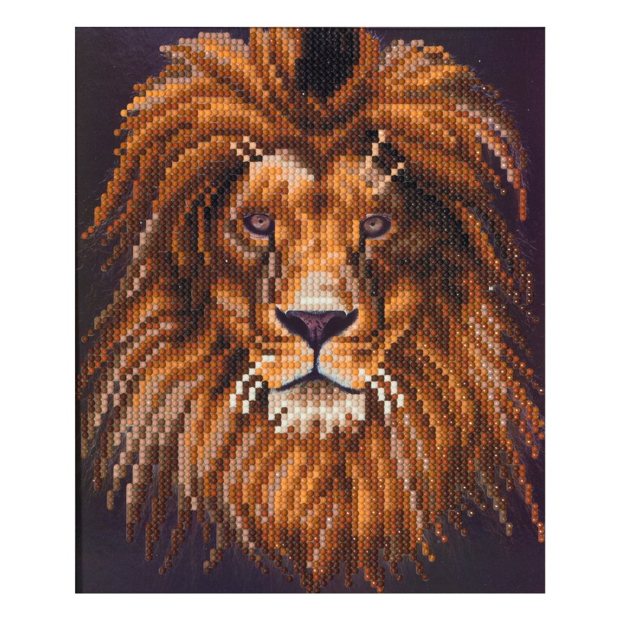 Lion Crystal Art Picture Frame Kit 7