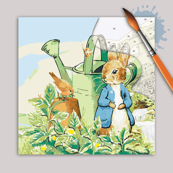 Peter Rabbit Robin 30x30cm Paint By Numb3rs canvas