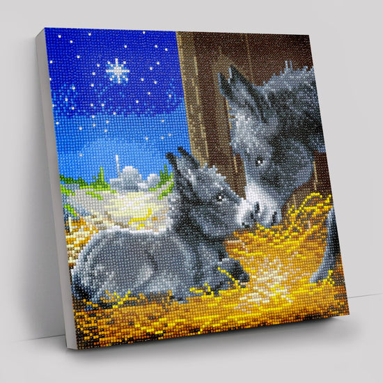 little donkey crystal Art Kit 30x30cm