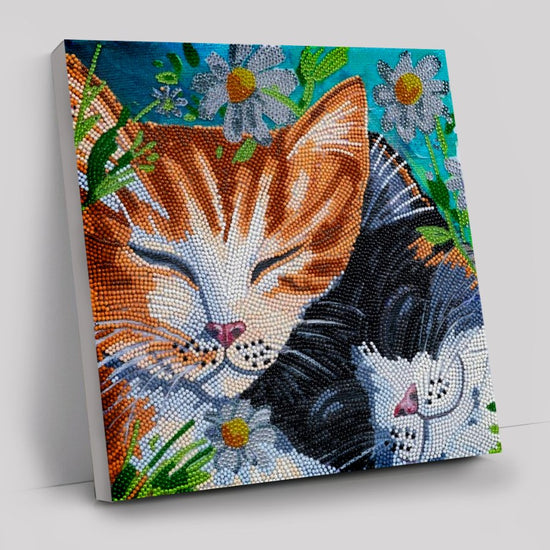 sleepy cats Art Kit 30x30cm
